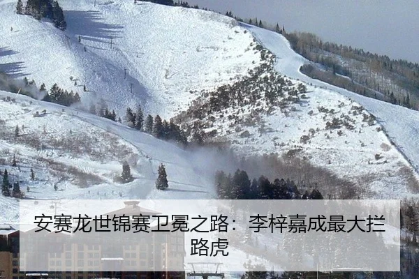an-sai-long-shi-jin-sai-wei-mian-zhi-lu-li-zi-jia-cheng-zui-da-lan-lu-hu-3-101.jpg