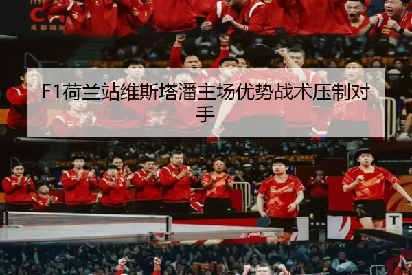 he-lan-zhan-wei-si-ta-pan-zhu-chang-you-shi-zhan-shu-ya-zhi-dui-shou-2-252.jpg