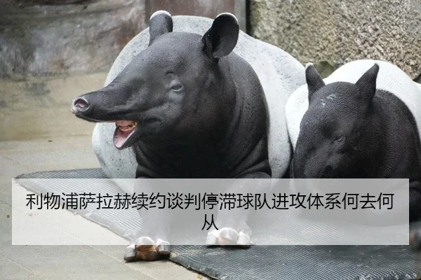 利物浦萨拉赫续约谈判停滞球队进攻体系何去何从