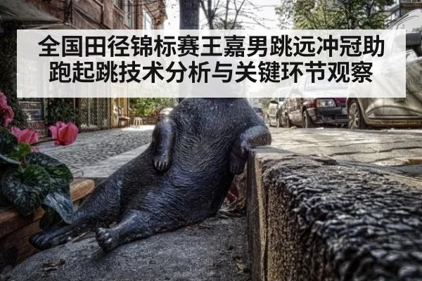 全国田径锦标赛王嘉男跳远冲冠助跑起跳技术分析与关键环节观察